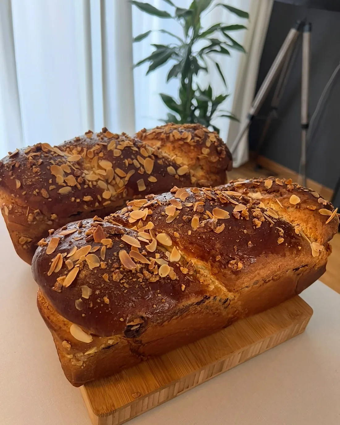 Cozonac met amandelen op een plank