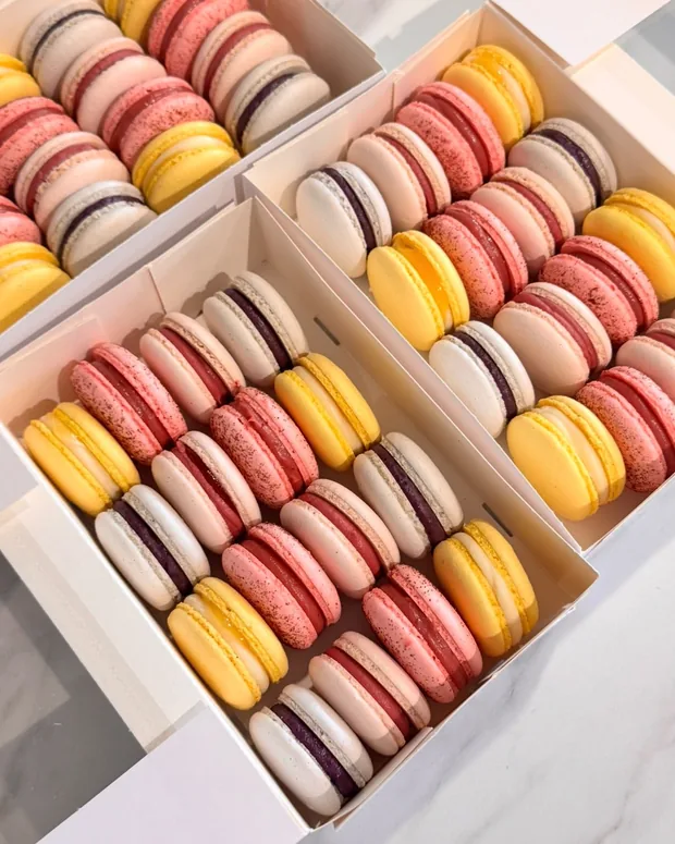 Dozen macarons in verschillende kleuren